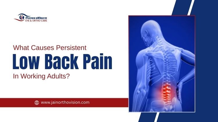 What Causes Persistent Low Back Pain in Working Adults?